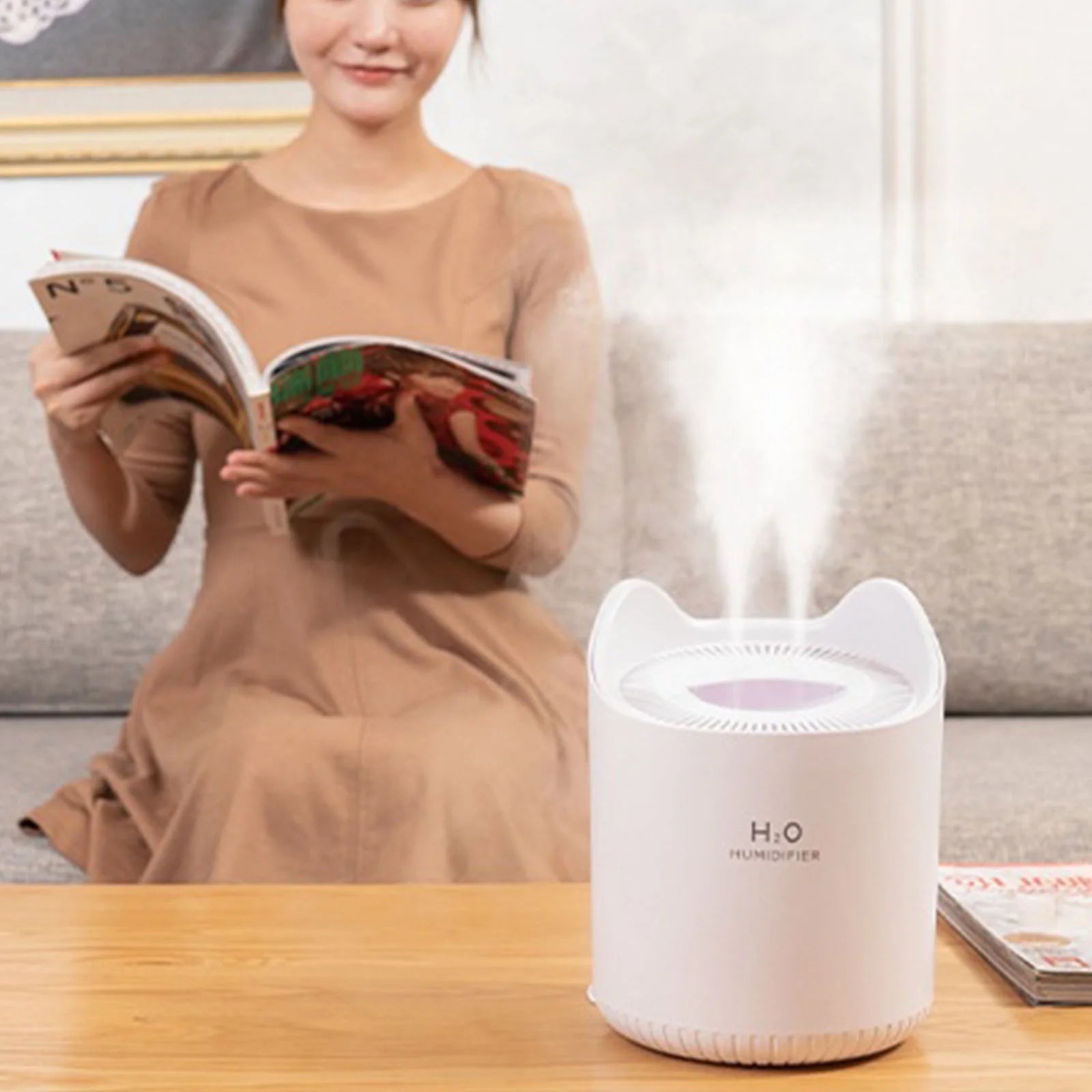 Double Spray Large Capacity Humidifier Household Mini Desktop Large Mist Capacity Humidifier on Clearance